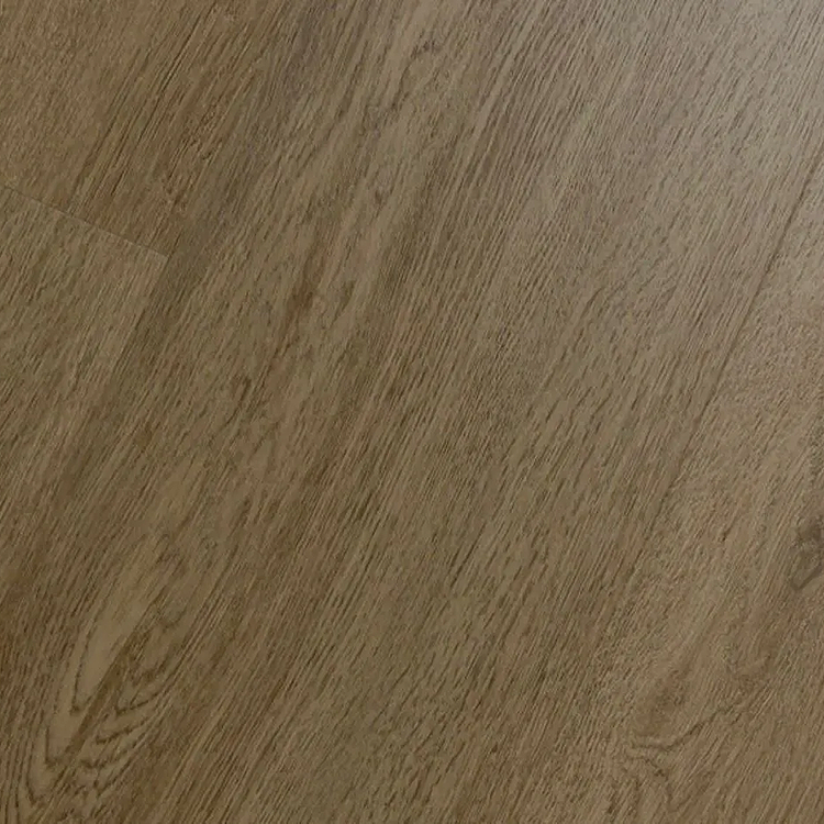Mega Plank EIR Collection