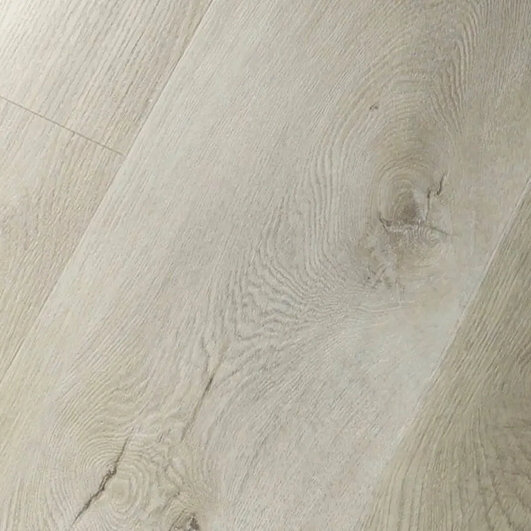 Mega Plank EIR Collection