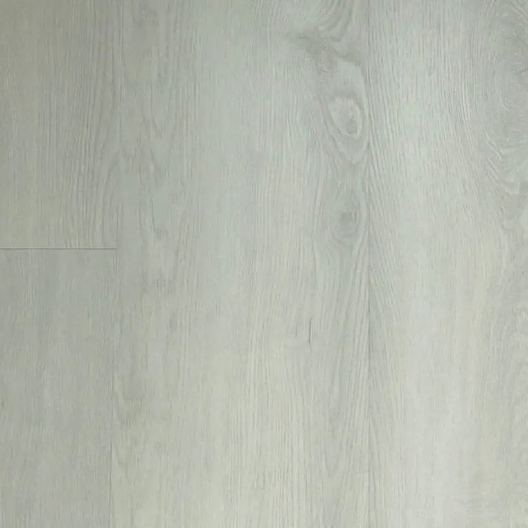 Mega Plank EIR Collection