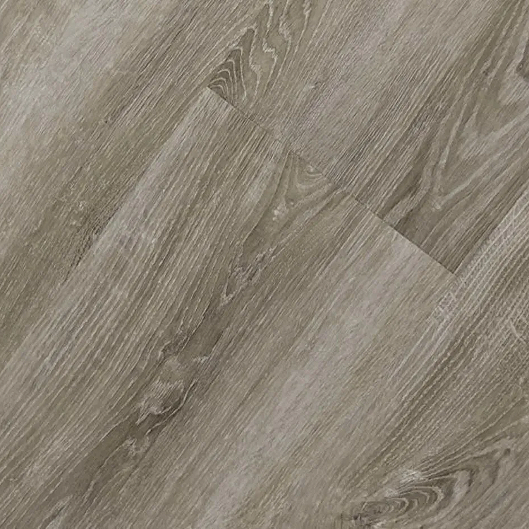 Mega Plank EIR Collection