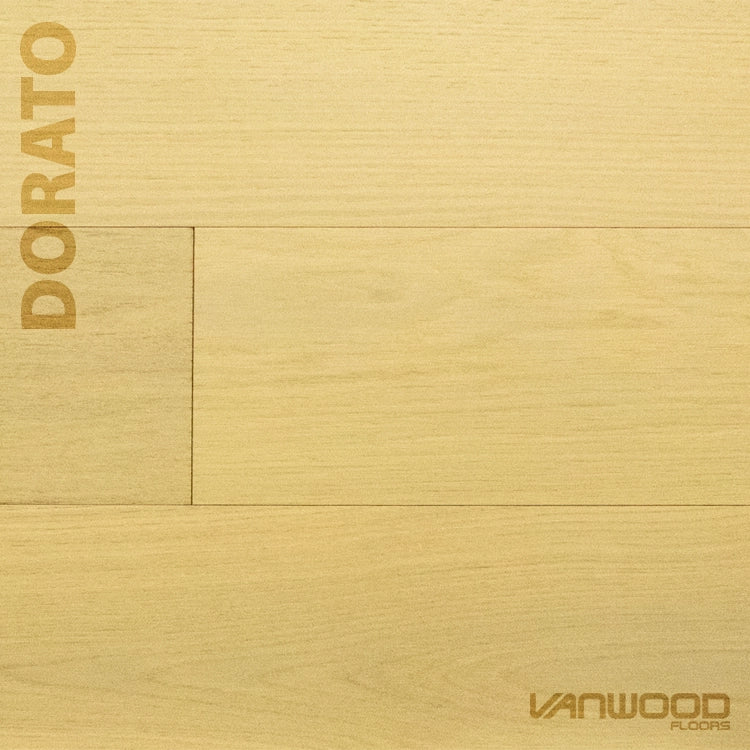 Dorato