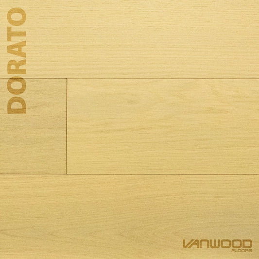 Dorato