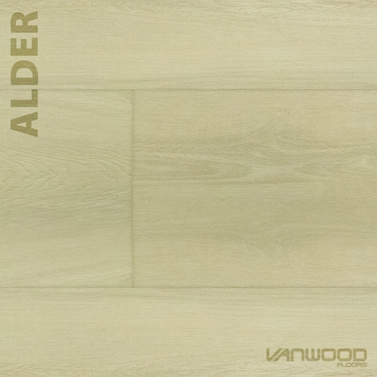 Alder