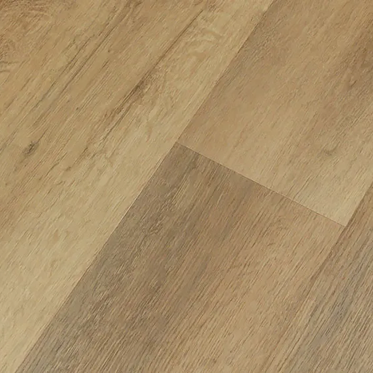 Mega Plank EIR Collection